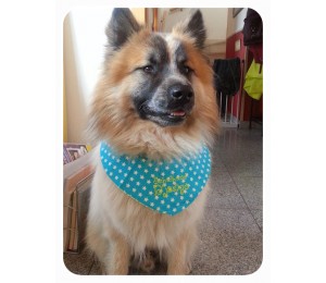 eBook Hundehalstuch Schnittmuster