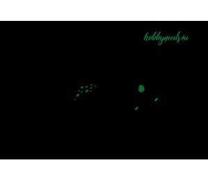 Stickdatei - Echse Reptil Fransenappli