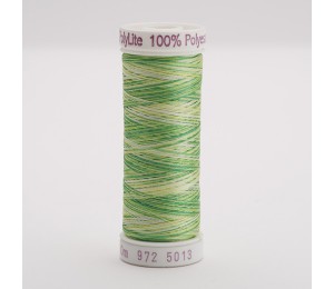  SULKY® POLY LITE 60, multicolor 5013 Lime Citrus