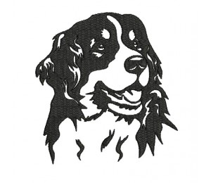 Stickdatei - Berner Sennenhund