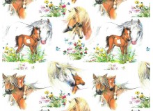 Baumwolle - Pferdewiese