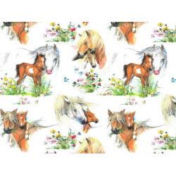 Baumwolle - Pferdewiese