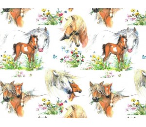 Baumwolle - Pferdewiese
