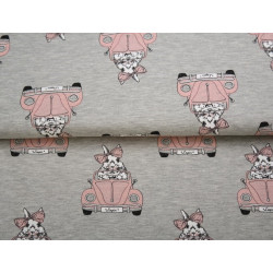 French Terry Stenzo - Hase im Auto