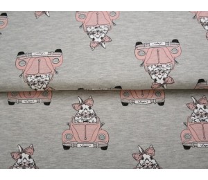 French Terry Stenzo - Hase im Auto