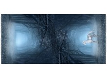 Jersey Digitaldruck Einhorn Panel