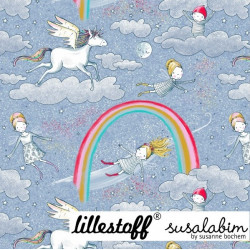 Bio Jersey Lillestoff - Am Ende des Regenbogens