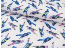 Jersey - Wellensittiche rosa blau
