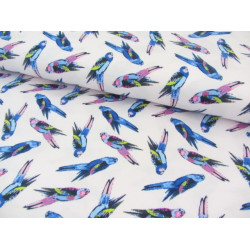 Jersey - Wellensittiche rosa blau