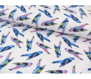 Jersey - Wellensittiche rosa blau