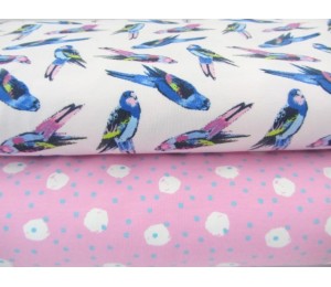 Jersey - Wellensittiche rosa blau