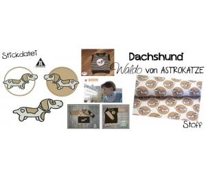 Jersey ASTROKATZE Dachshund - Waldo