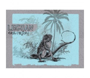 Bio Jersey Lillestoff - Leguan Panel