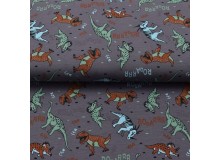 Jersey - Rooarrr Starrrs Dinos grau