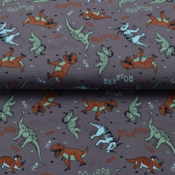 Jersey - Rooarrr Starrrs Dinos grau