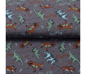 Jersey - Rooarrr Starrrs Dinos grau