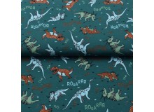 Jersey - Rooarrr Starrrs Dinos petrol