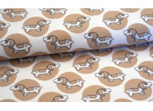 Jersey ASTROKATZE Dachshund - Waldo