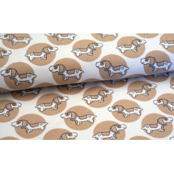 Jersey ASTROKATZE Dachshund - Waldo