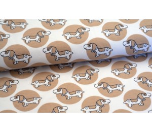 Jersey ASTROKATZE Dachshund - Waldo