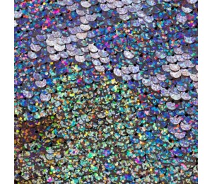 Wendepailletten - weiß holo silber